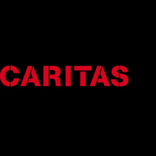 Caritas Suisse logo