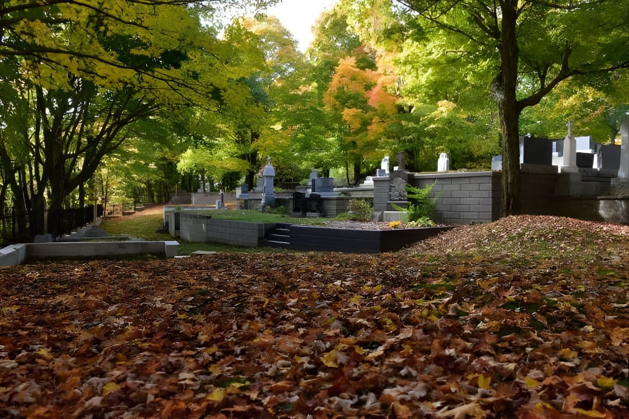 Il ruolo dei cimiteri nella memoria collettiva