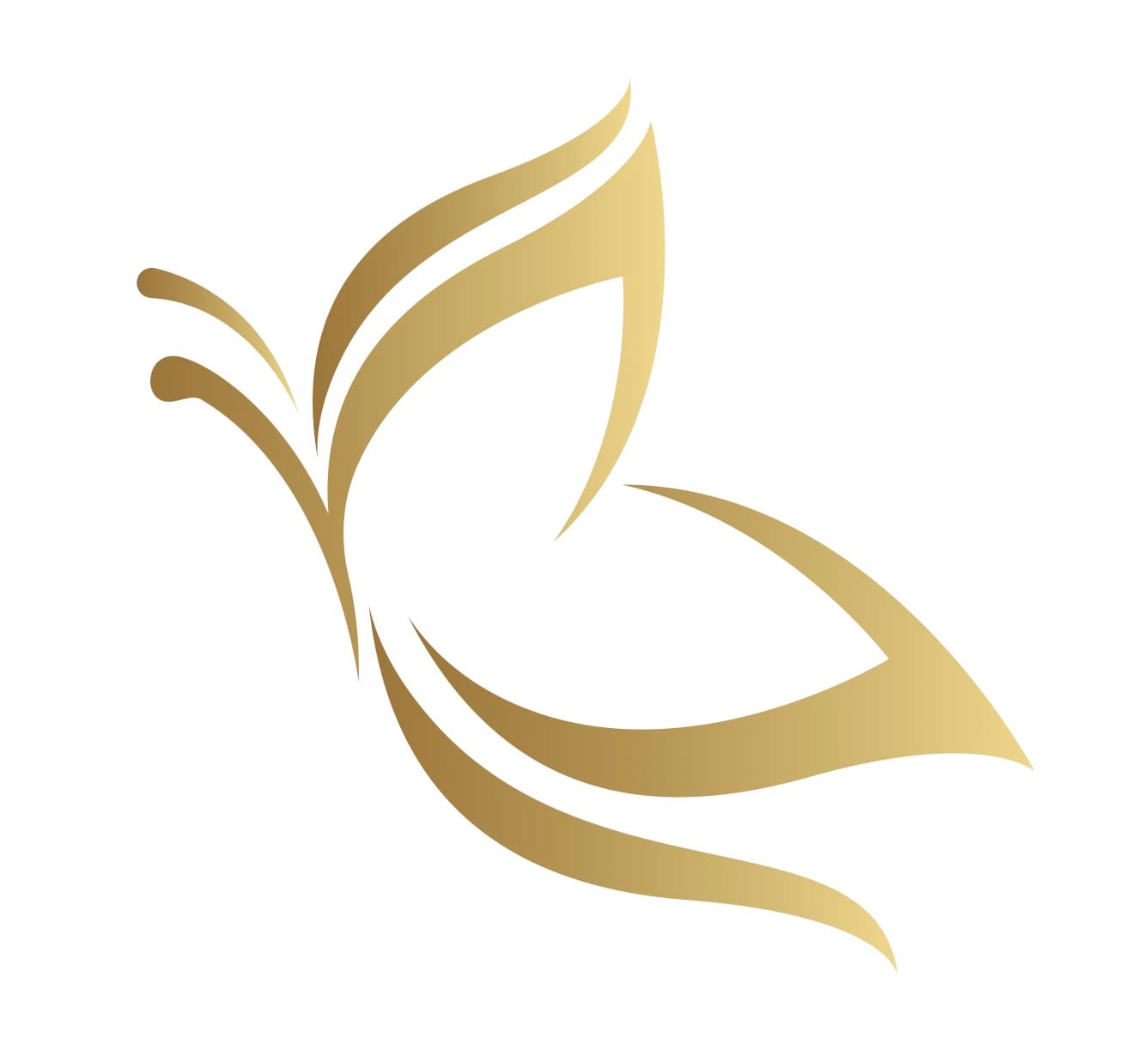 Ailleurs Pompes Funèbres Sàrl logo